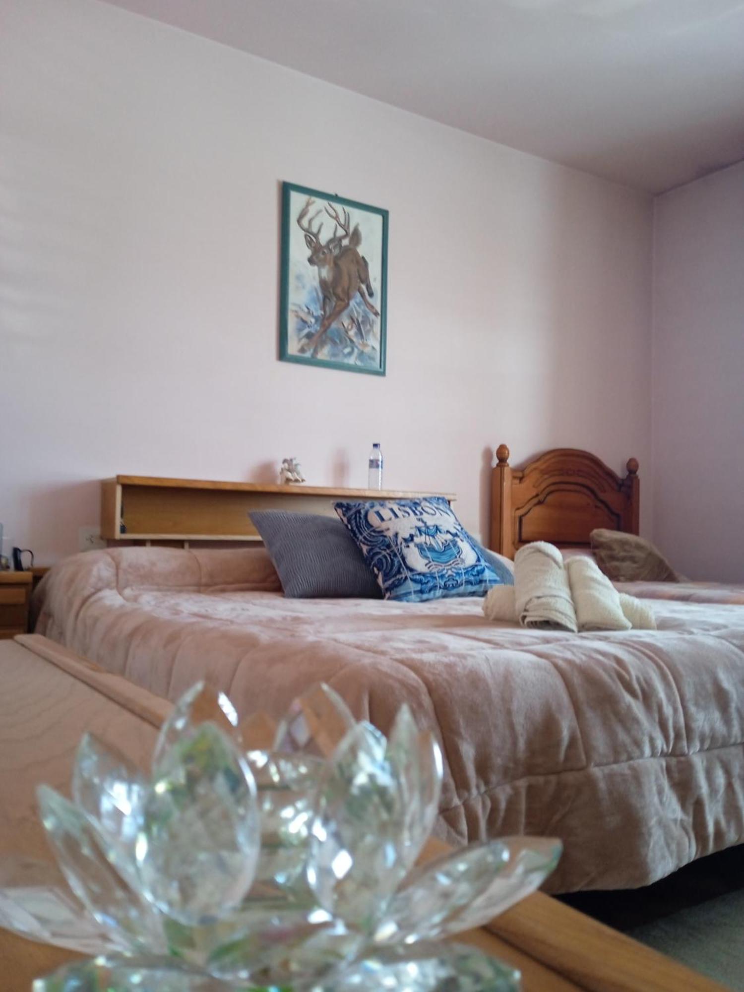 La Maison D'Abelleira Ponteareas Extérieur photo